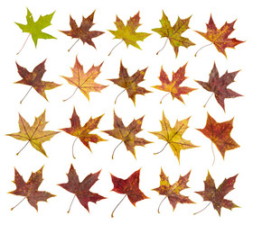 Similar image 10937742