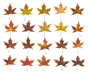 Similar image 10937743