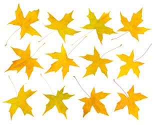 Similar image 10937744