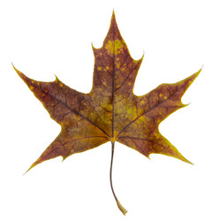 Similar image 10937746