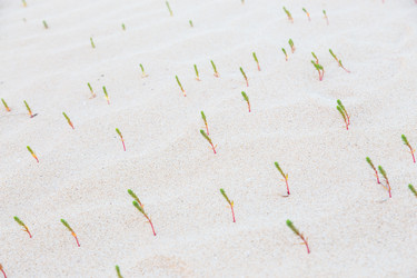 Similar image 10940221