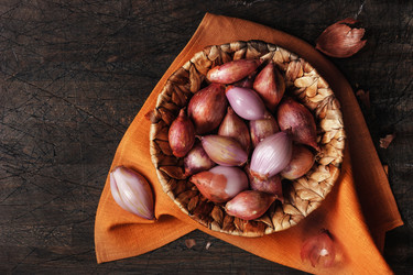 Similar image 10949474