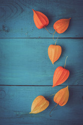 Similar image 10949518