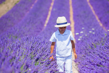 Similar image 10939911