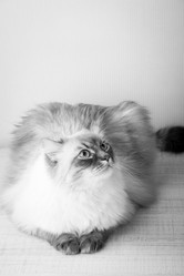 Similar image 10949447