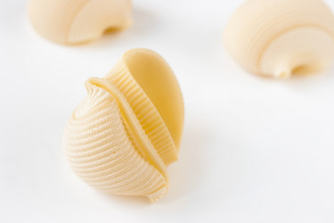 Similar image 10949468