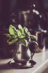 Similar image 10949479