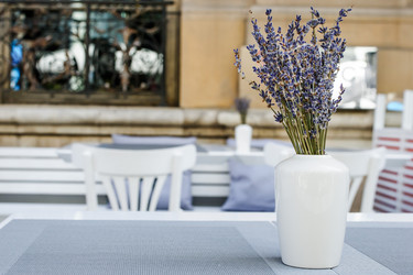 Similar image 10949486