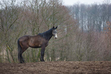 Similar image 10943829