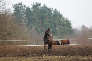 Similar image 10943830