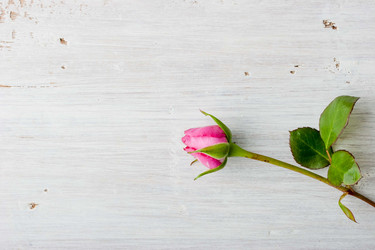 Similar image 10941476