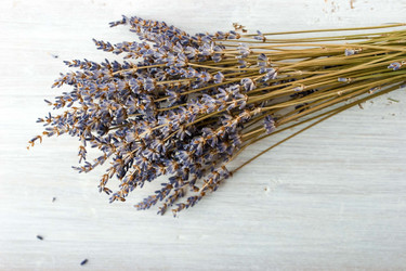 Similar image 10941525