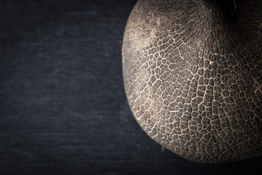 Similar image 10941548