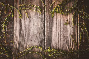 Similar image 10941205