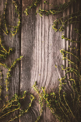 Similar image 10941209