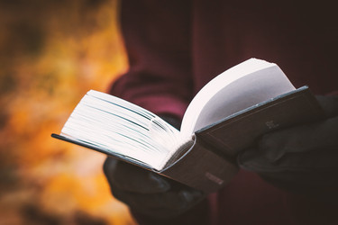 Similar image 10941411