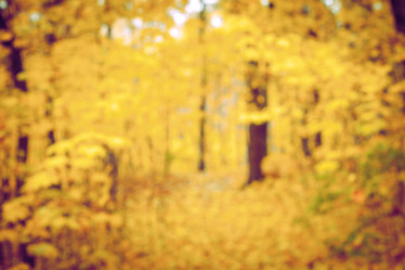 Similar image 10941415