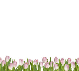 Similar image 10950086