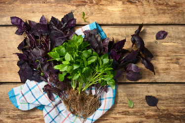 Similar image 10939083