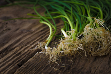 Similar image 10939189