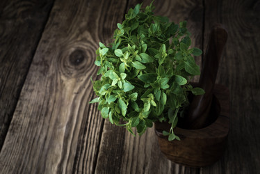 Similar image 10939197