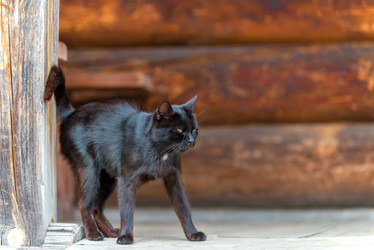 Similar image 10954085