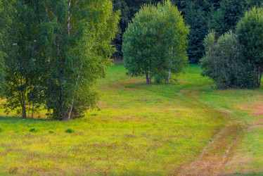 Similar image 10954092