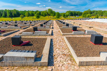 Similar image 10954097