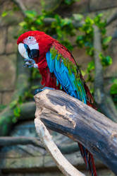 Similar image 10954103