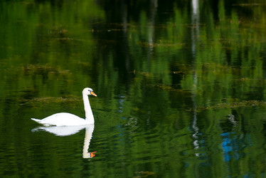 Similar image 10954105