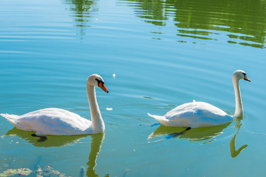 Similar image 10954106