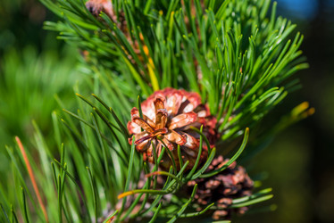 Similar image 10954107