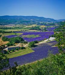 Similar image 10939915