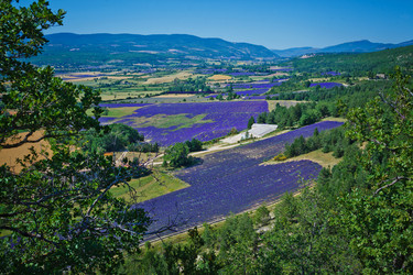 Similar image 10939916