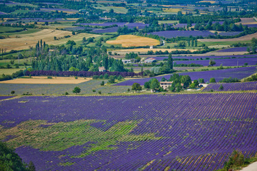 Similar image 10939917