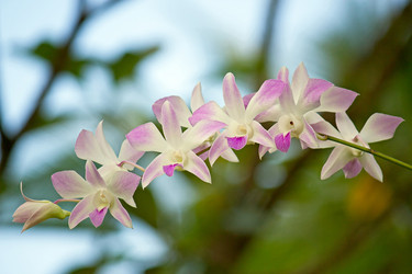 Similar image 10939319