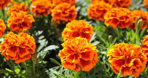 Similar image 10943772