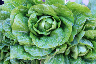 Similar image 10955365