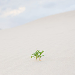 Similar image 10940242