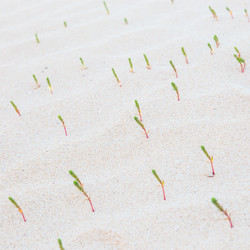 Similar image 10940243