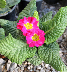 Similar image 10943774