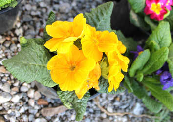 Similar image 10943775