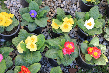 Similar image 10943777