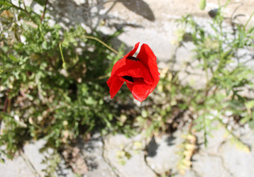 Similar image 10955049