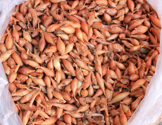 Similar image 10955795