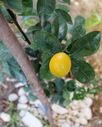 Similar image 10939376