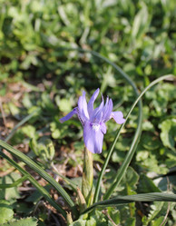 Similar image 10943779