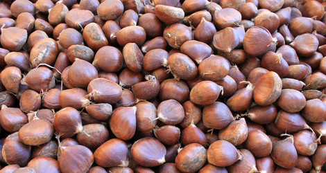 Similar image 10942226