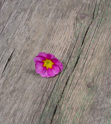 Similar image 10939304