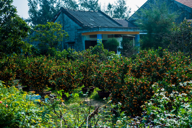 Similar image 10940819